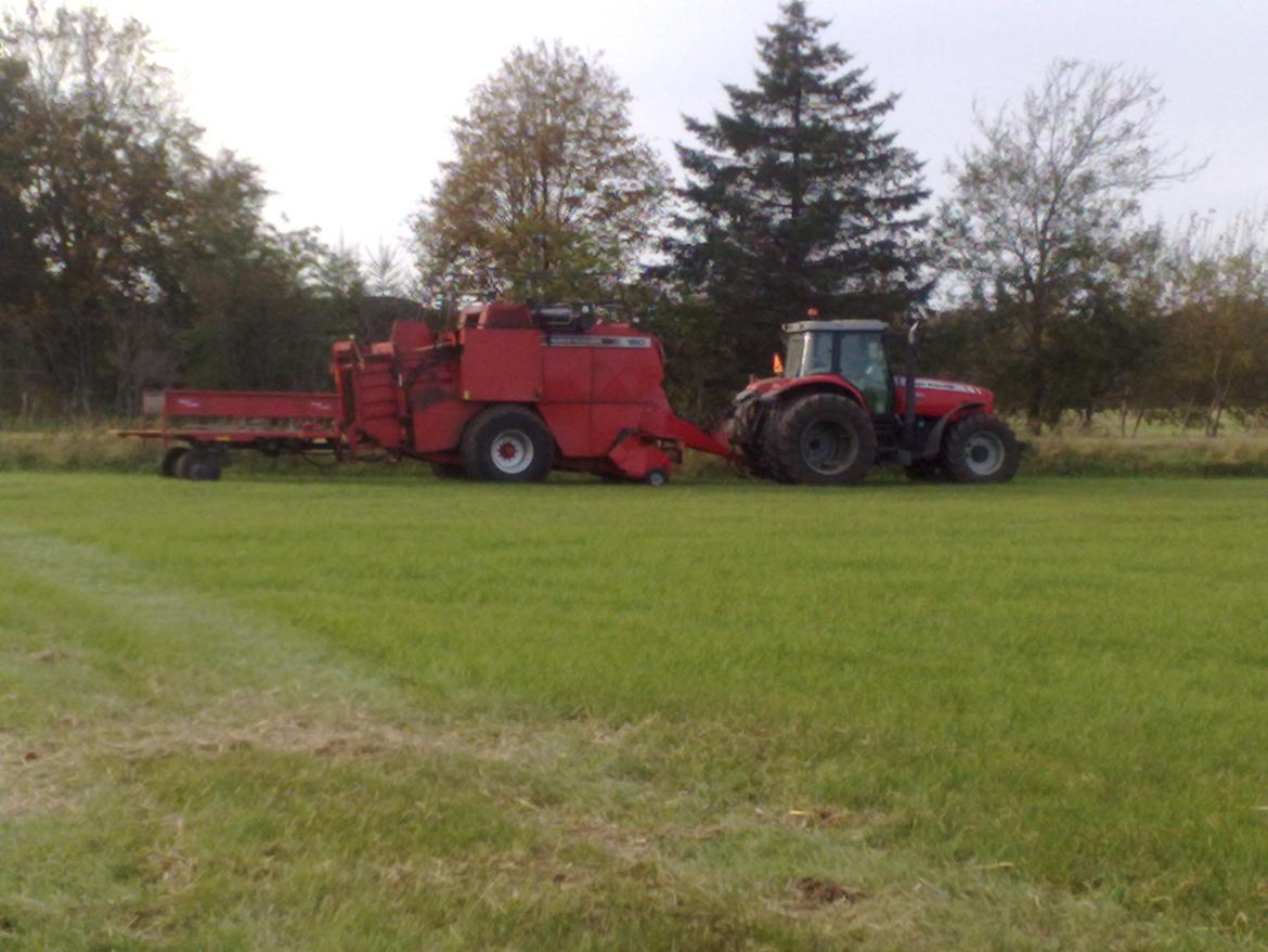 Massey Ferguson 6485 (DynaShift) billede 5