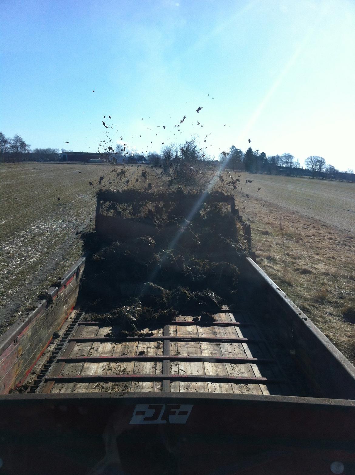 Case IH 956 XL Turbo billede 9