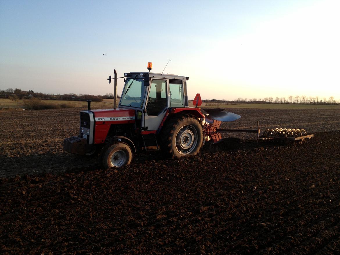 Massey Ferguson 675 - Så blev det forår. Pløjning D. 09-04-13  billede 12