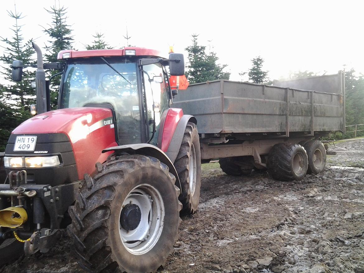 Case IH MXU 135 - kører lidt møj billede 1