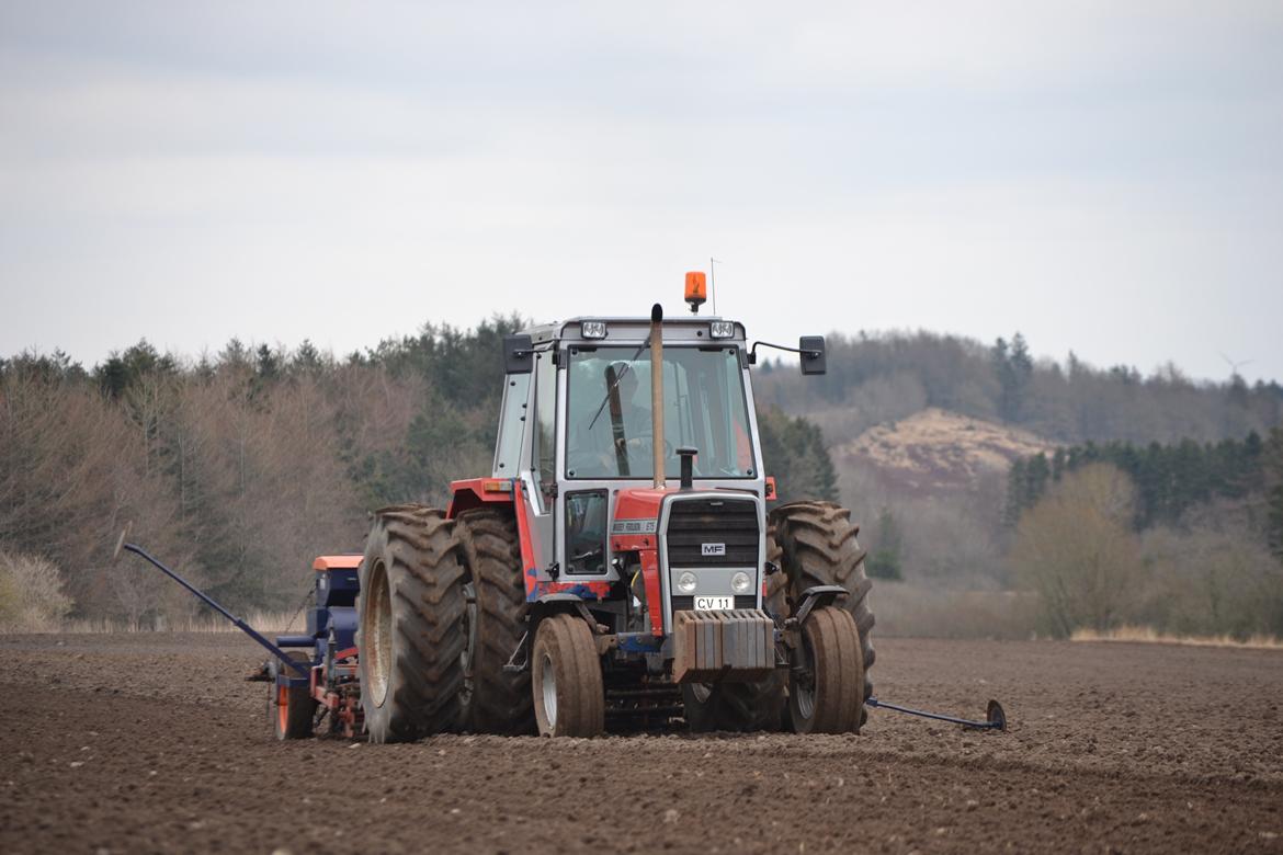 Massey Ferguson 675 - Ude at så vårbyg billede 9