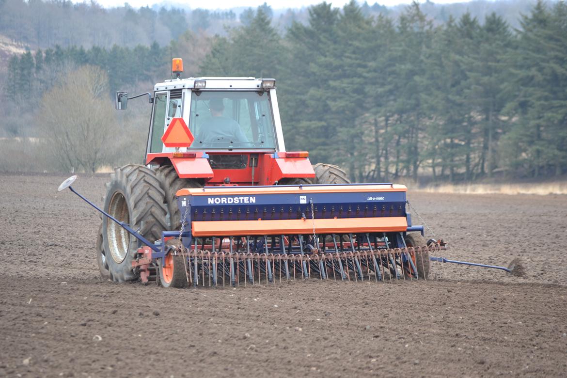 Massey Ferguson 675 - Ude at så vårbyg
 billede 11