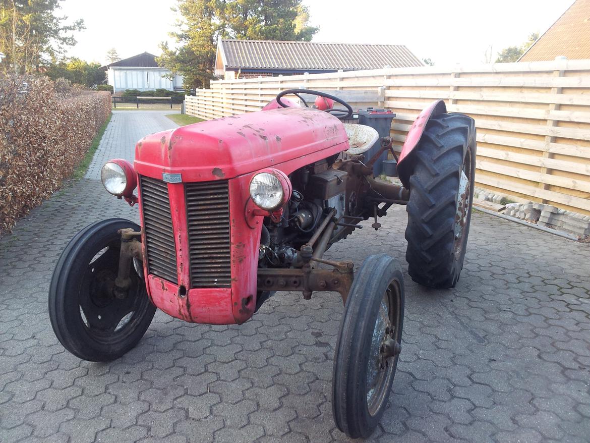 Ferguson 31 billede 1