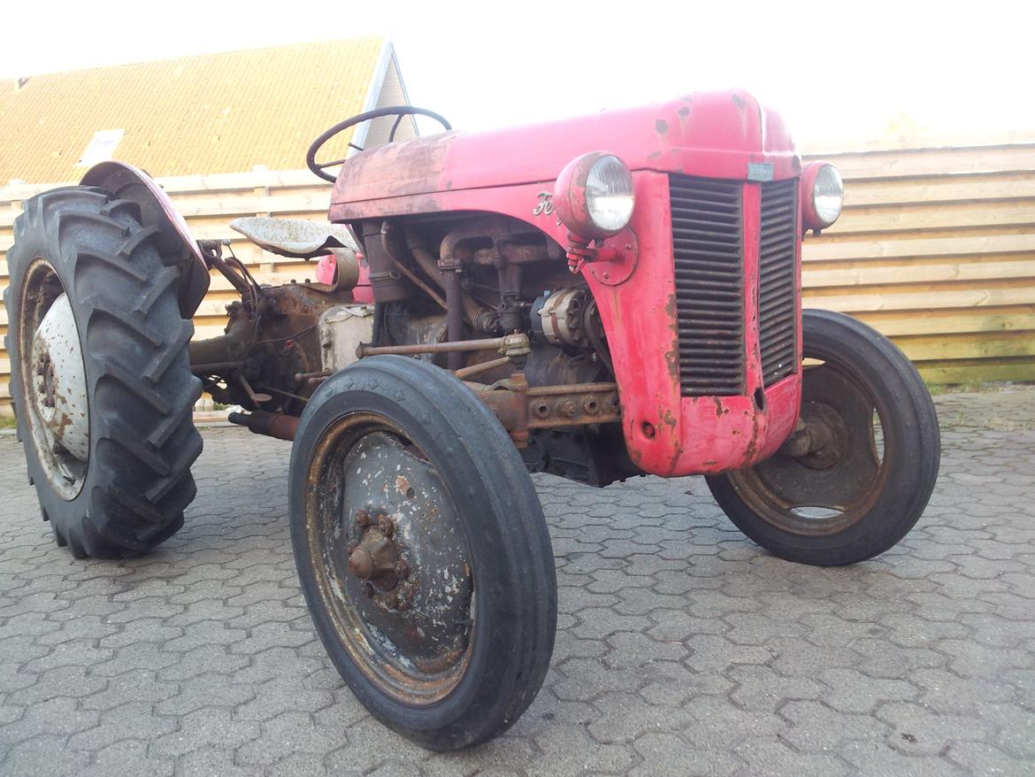Ferguson 31 billede 7