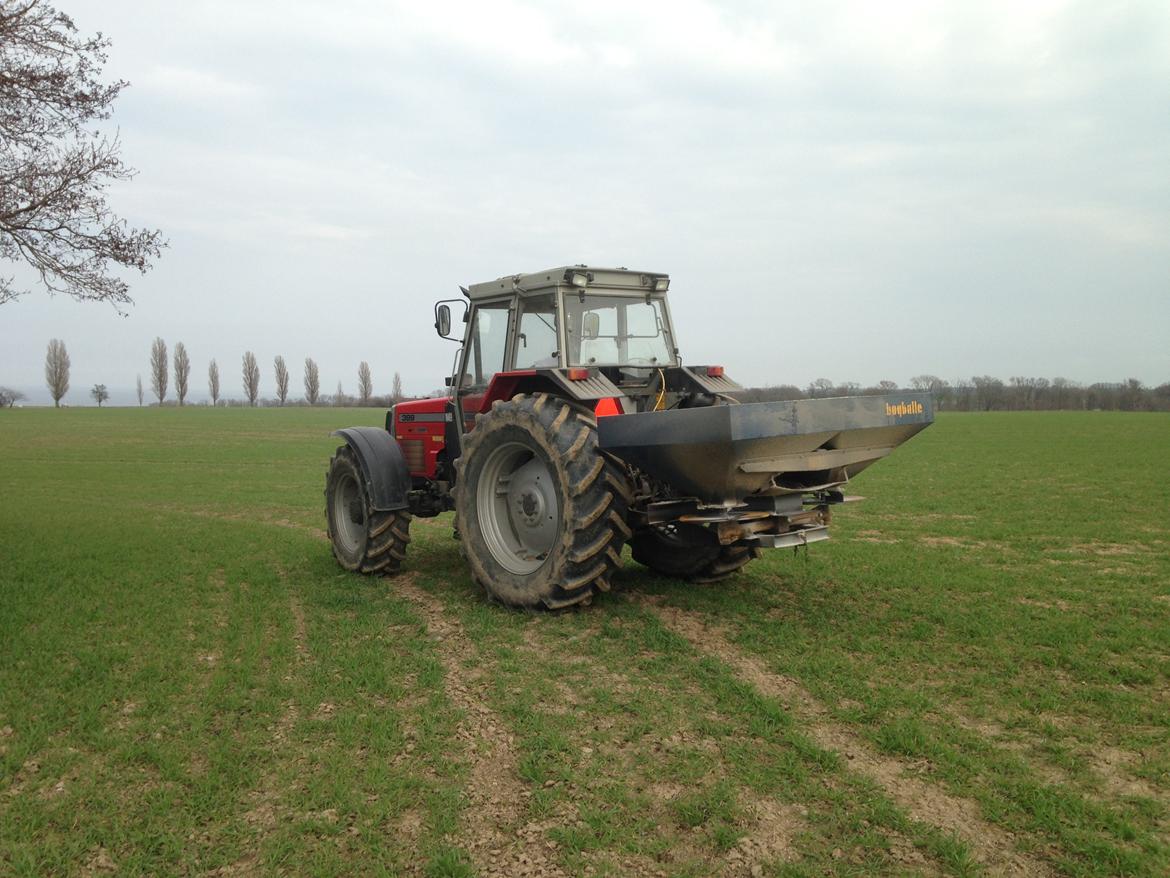 Massey Ferguson 399 - Gødning af Vinterhvede  billede 11