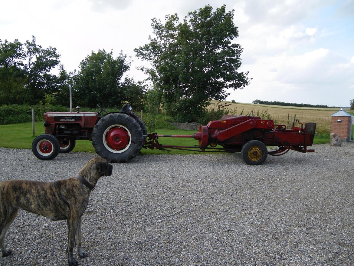 International Harvester B275 billede 8