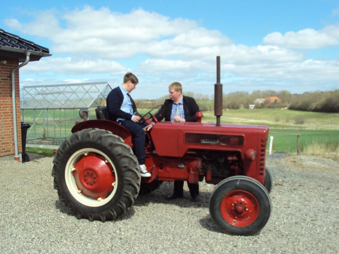 International Harvester B-275 (SOLGT) - Der jeg lige havde fået den. billede 2