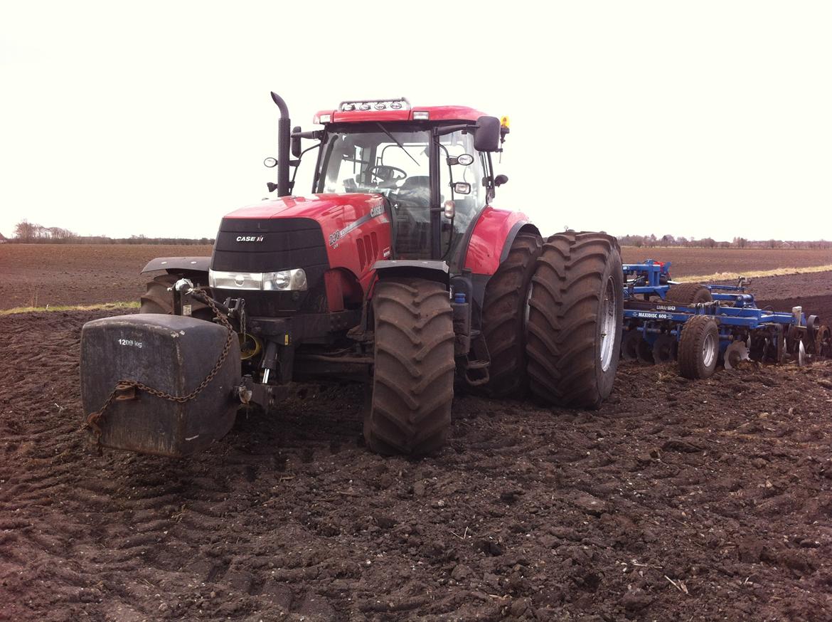 Case IH Puma 230 CVX - Ude og gøre klar til at så majs med maxi disc billede 14