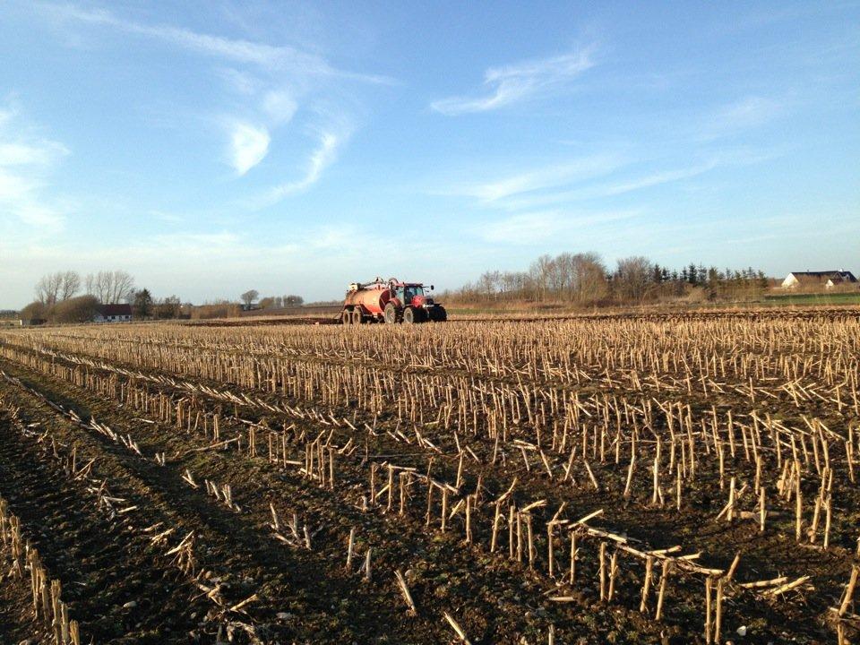 Case IH puma 210cvx billede 15