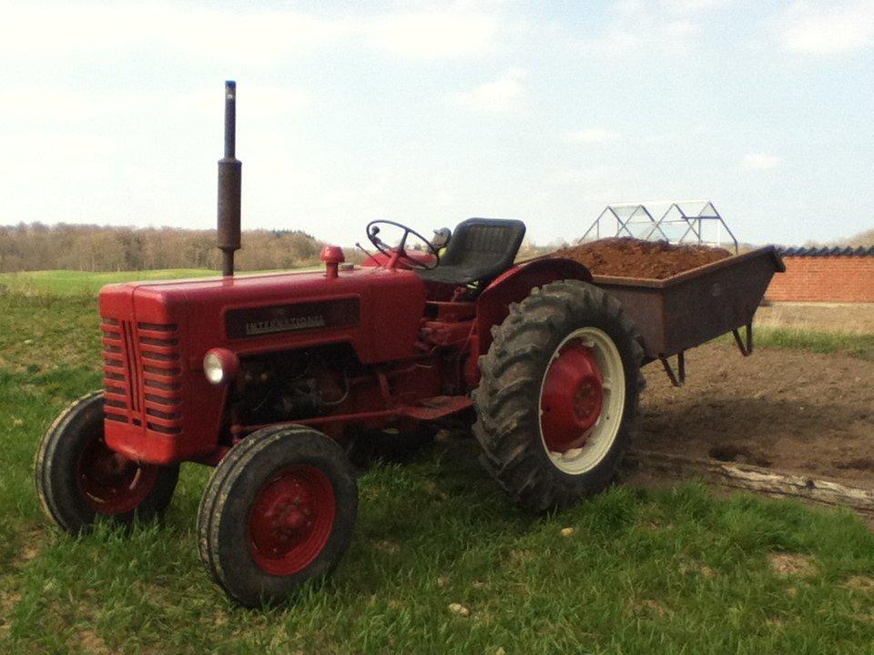 International Harvester B-275 (SOLGT) - Så skulle vi har kørt lidt møg ud i køkken haven billede 11