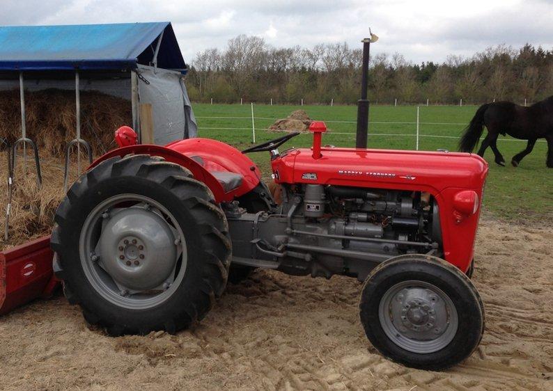 Massey Ferguson 35 - Færdig med renovering af den gamle 35'er billede 1
