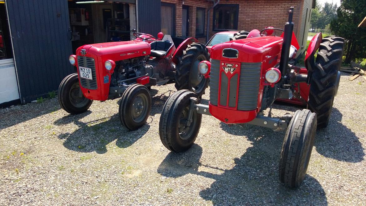 Massey Ferguson 65 mrk 2 - lillebror og storebror.d 16-5-2013 billede 21