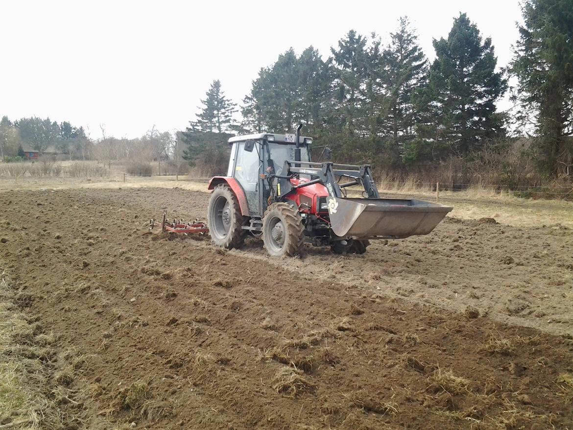 Massey Ferguson 4315 Midtsjællands efterskole billede 4