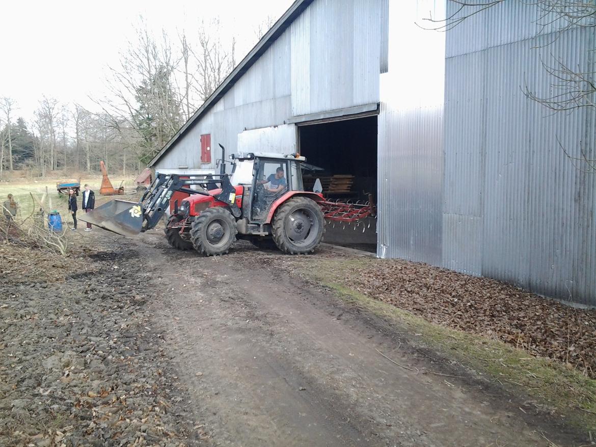 Massey Ferguson 4315 Midtsjællands efterskole billede 6