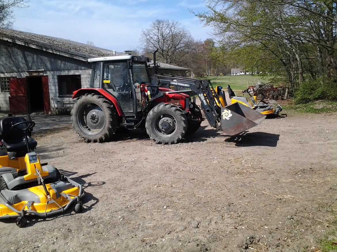 Massey Ferguson 4315 Midtsjællands efterskole - Nyvasket billede 11