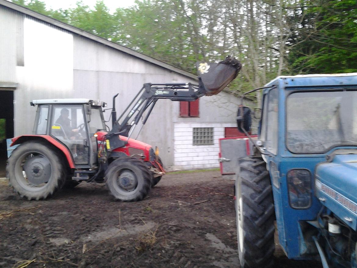 Massey Ferguson 4315 Midtsjællands efterskole billede 13