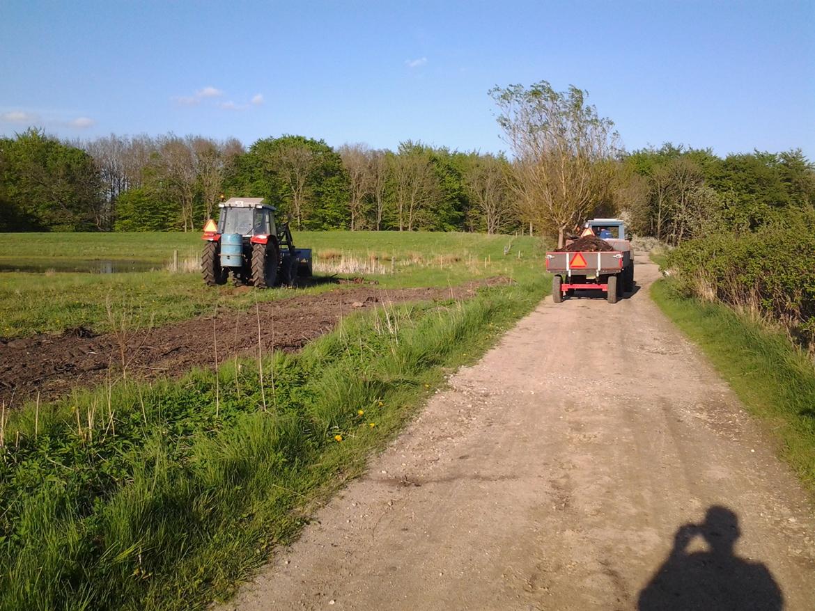 Massey Ferguson 4315 Midtsjællands efterskole billede 14