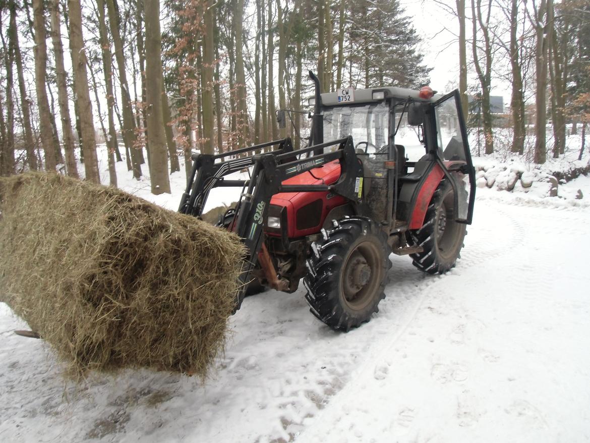 Massey Ferguson 4315 Midtsjællands efterskole - Så skal der køres hø ind til fårene. billede 17