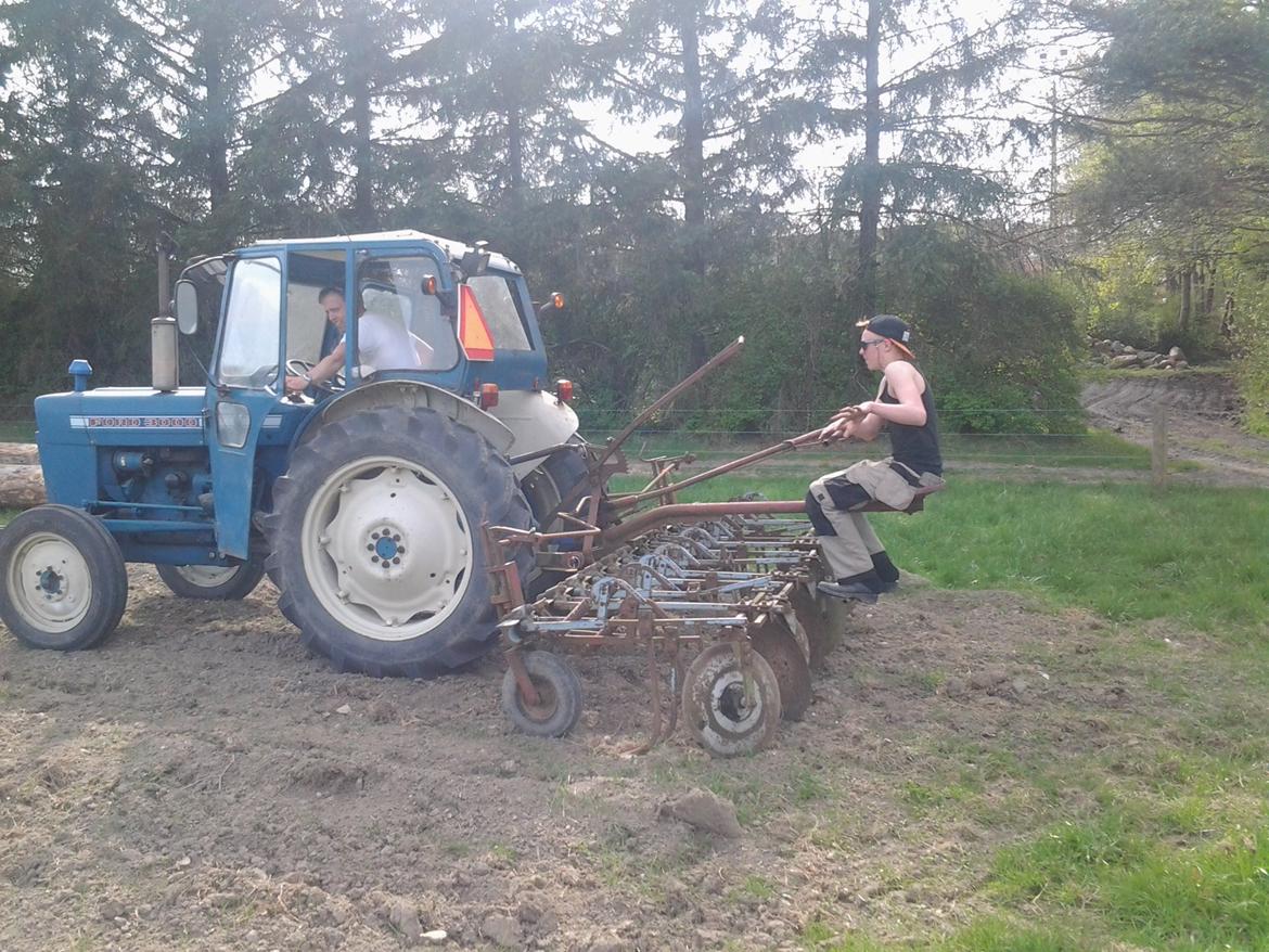 Ford 3000 Midtsjællands efterskole - Så skal der redrenses kartofler. billede 14