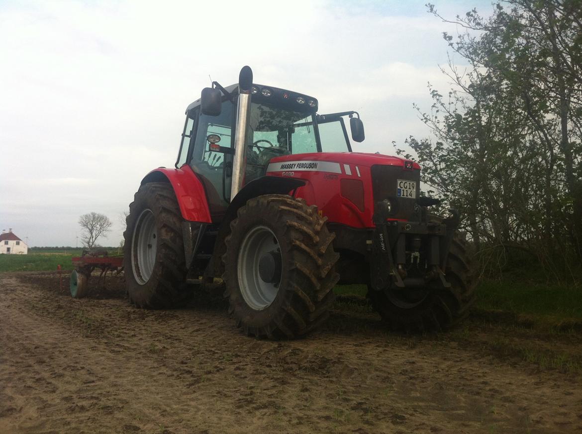 Massey Ferguson 6480 billede 8