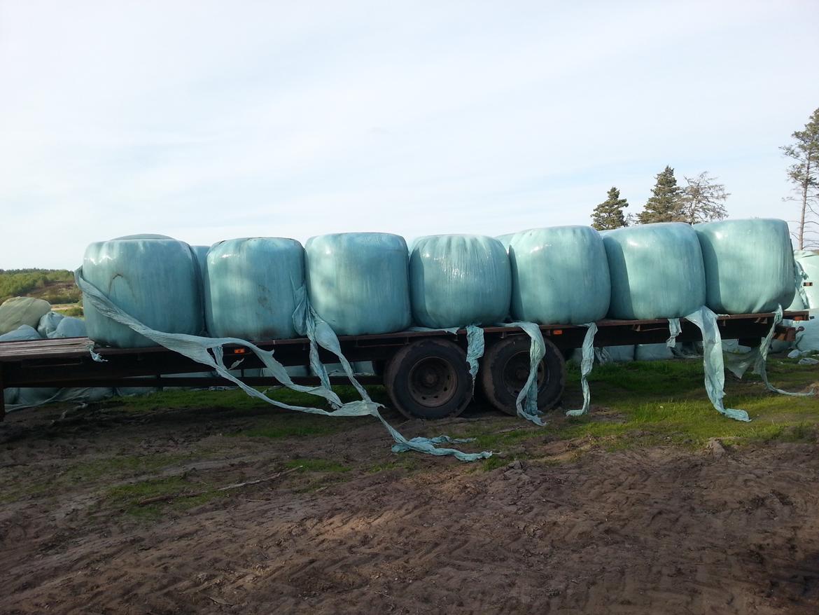 New Holland ts100 billede 15