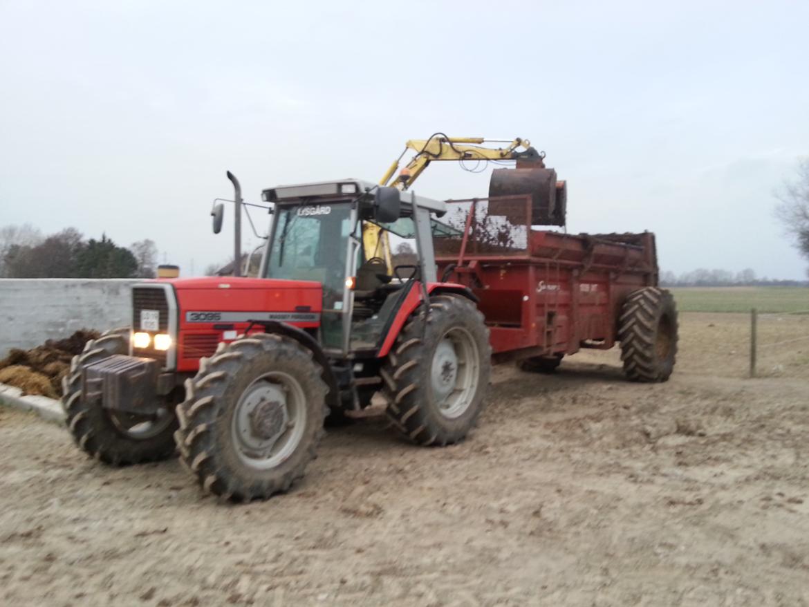 Massey Ferguson 3095 billede 12