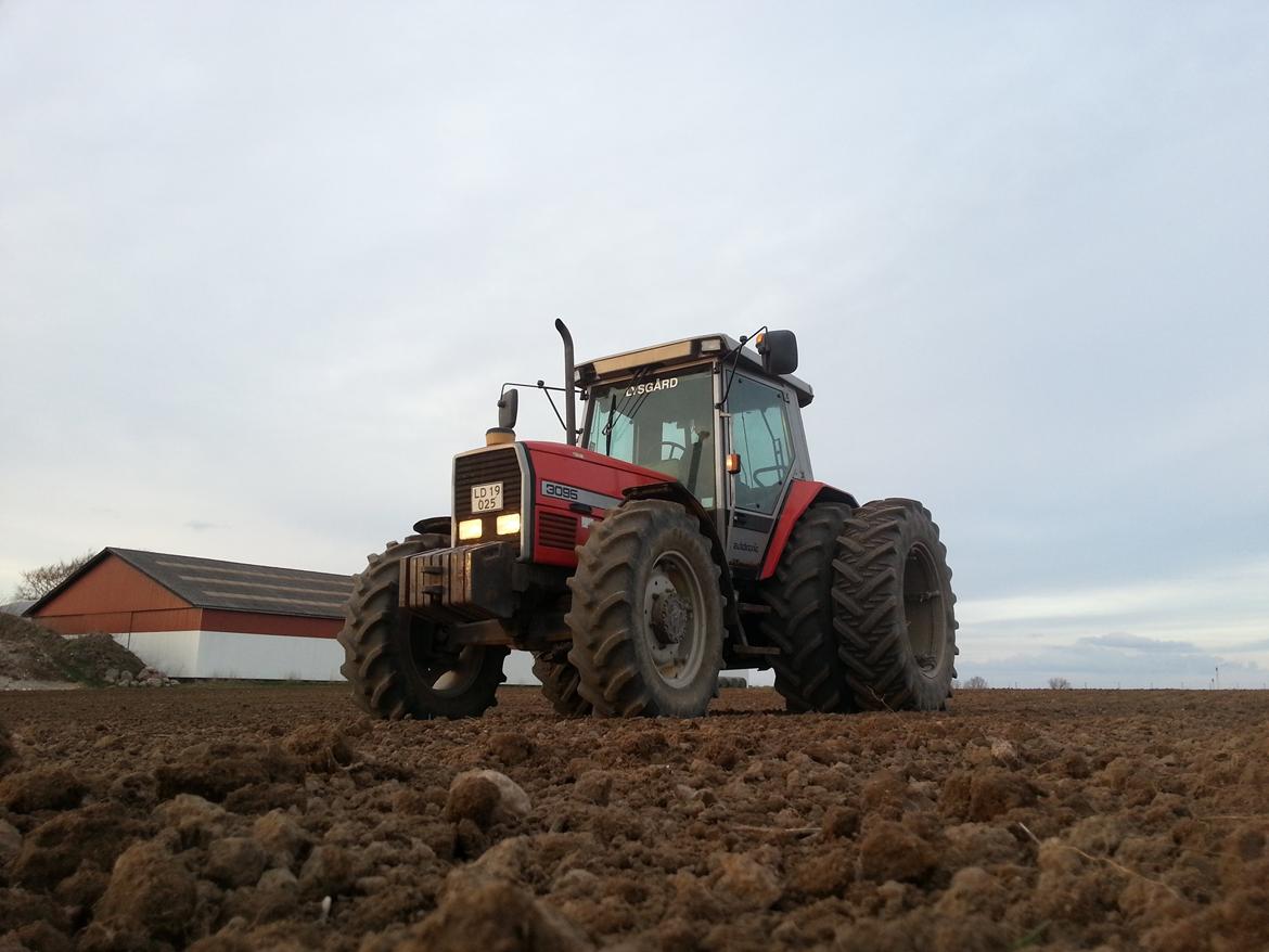 Massey Ferguson 3095 billede 14