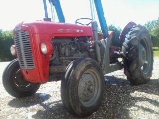 Massey Ferguson 35 billede 2