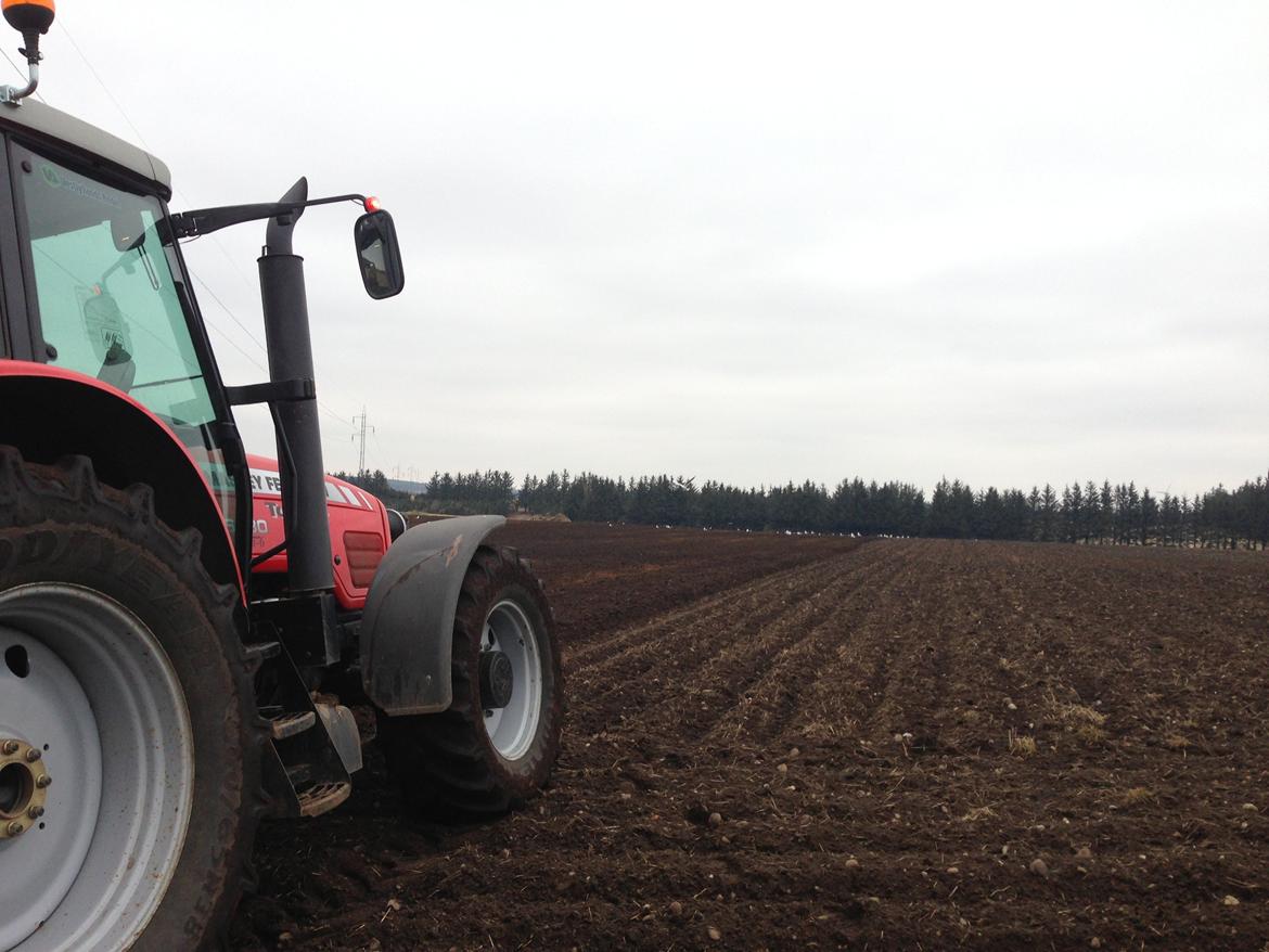 Massey Ferguson 6480 billede 12