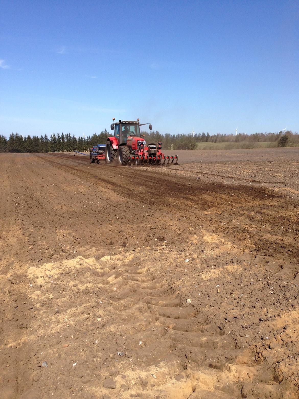 Massey Ferguson 6480 billede 14