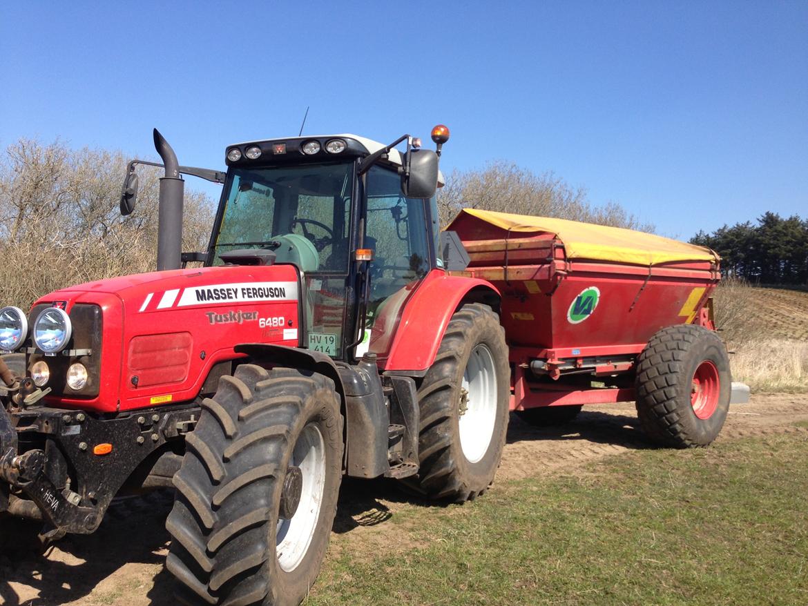 Massey Ferguson 6480 billede 16