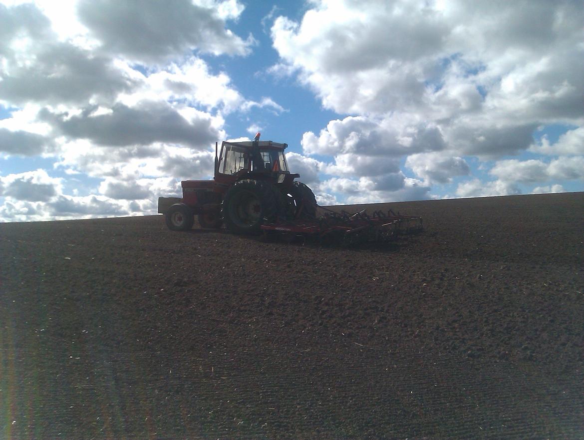 International Harvester 1056XL - ud og harve, noget det den gør meget i :-) billede 20