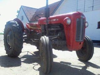 Massey Ferguson 35 billede 1