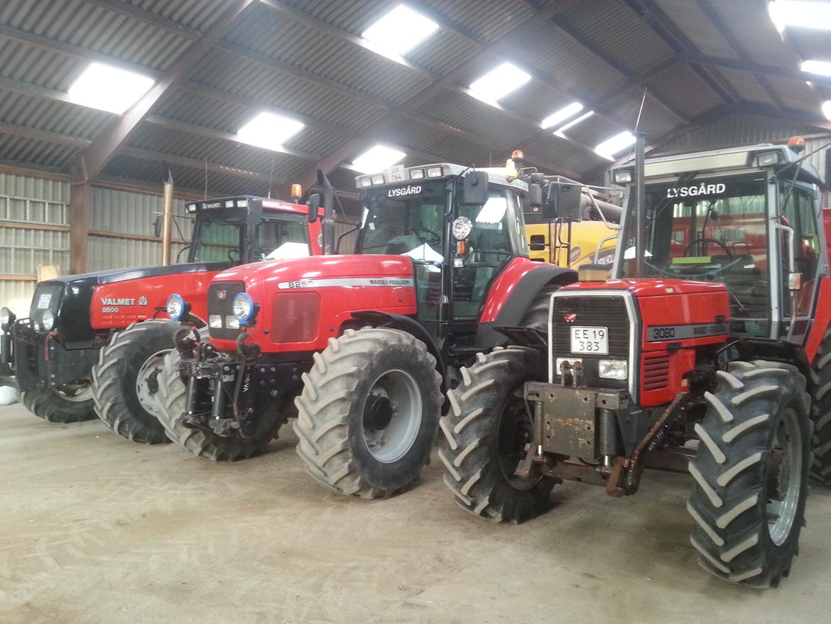 Valmet 8600 - 3 Dejlige traktore :) billede 15