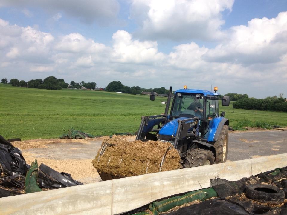 New Holland TM 135 SS (Solgt)  - Det den laver hver dag.  billede 17