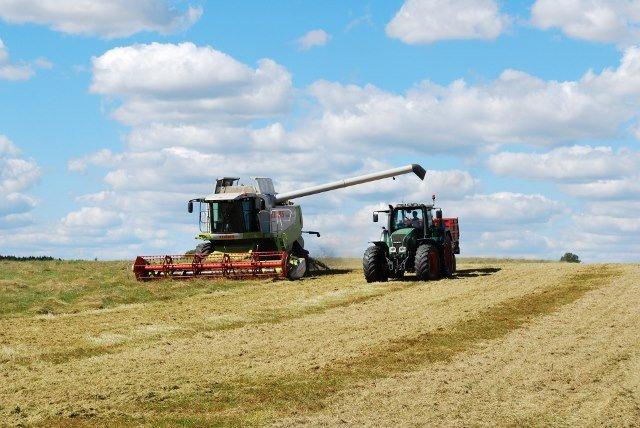 Fendt 916 favorit vario - høst af rajgræs med vores claas lexion 540 22 fods skærebord og korn kørsel med fendt 916 favorite vario billede 4