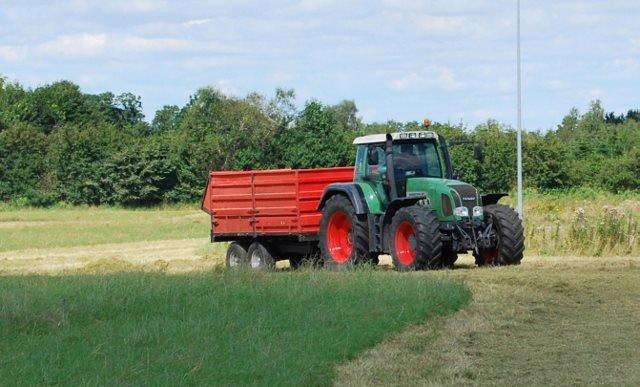 Fendt 916 favorit vario - høst af rajgræs billede 5