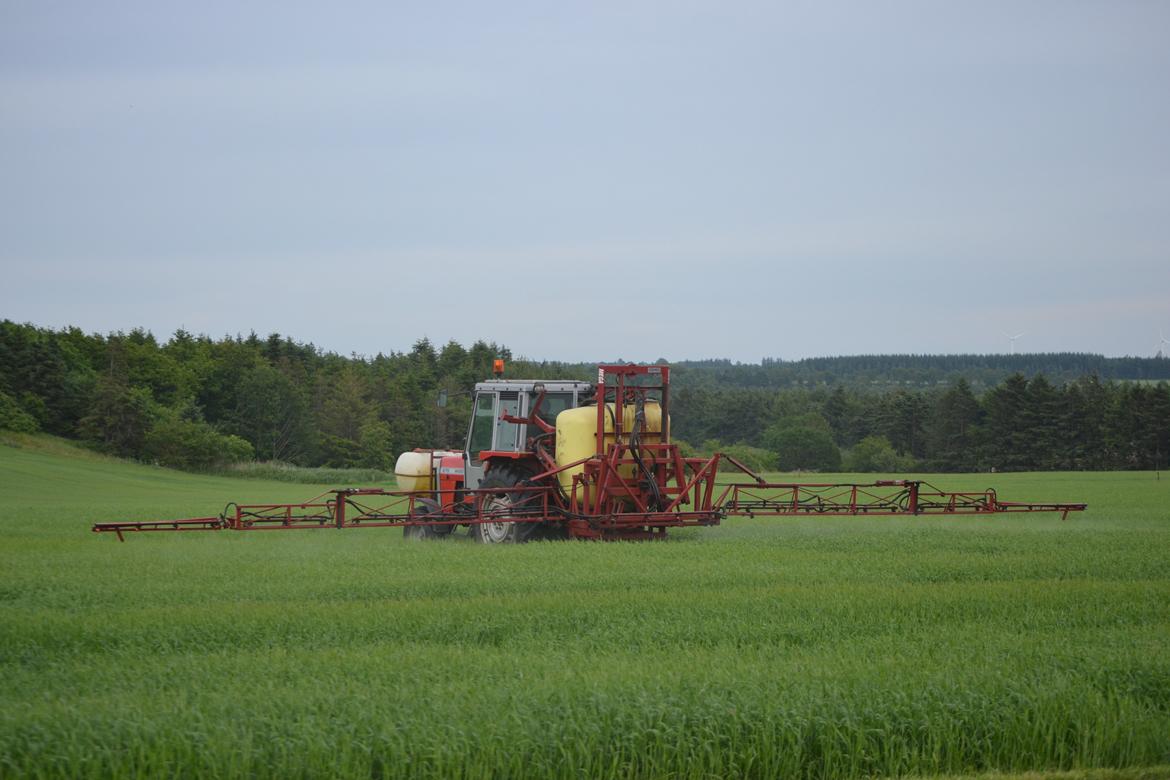 Massey Ferguson 675 - 675'eren sprøjter byggen billede 8