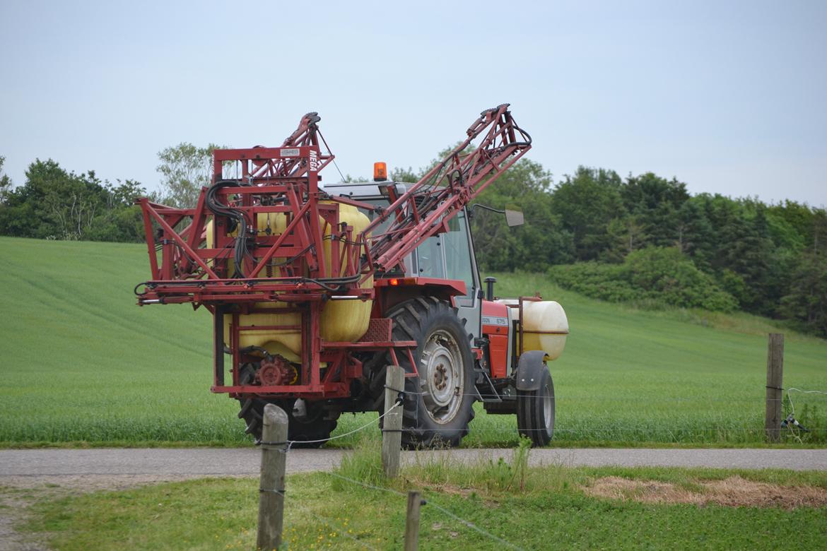 Massey Ferguson 675 billede 5