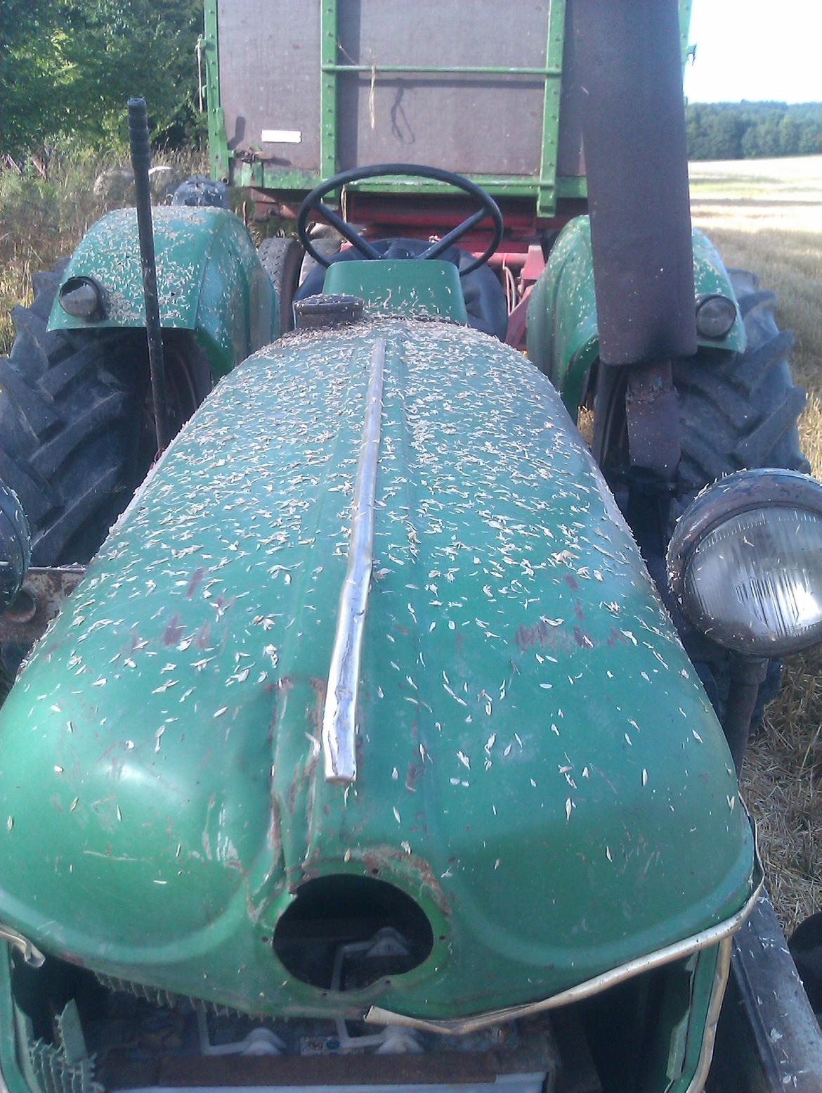 Deutz-Fahr D40 - køre hvede i mod vind ;)
 billede 9