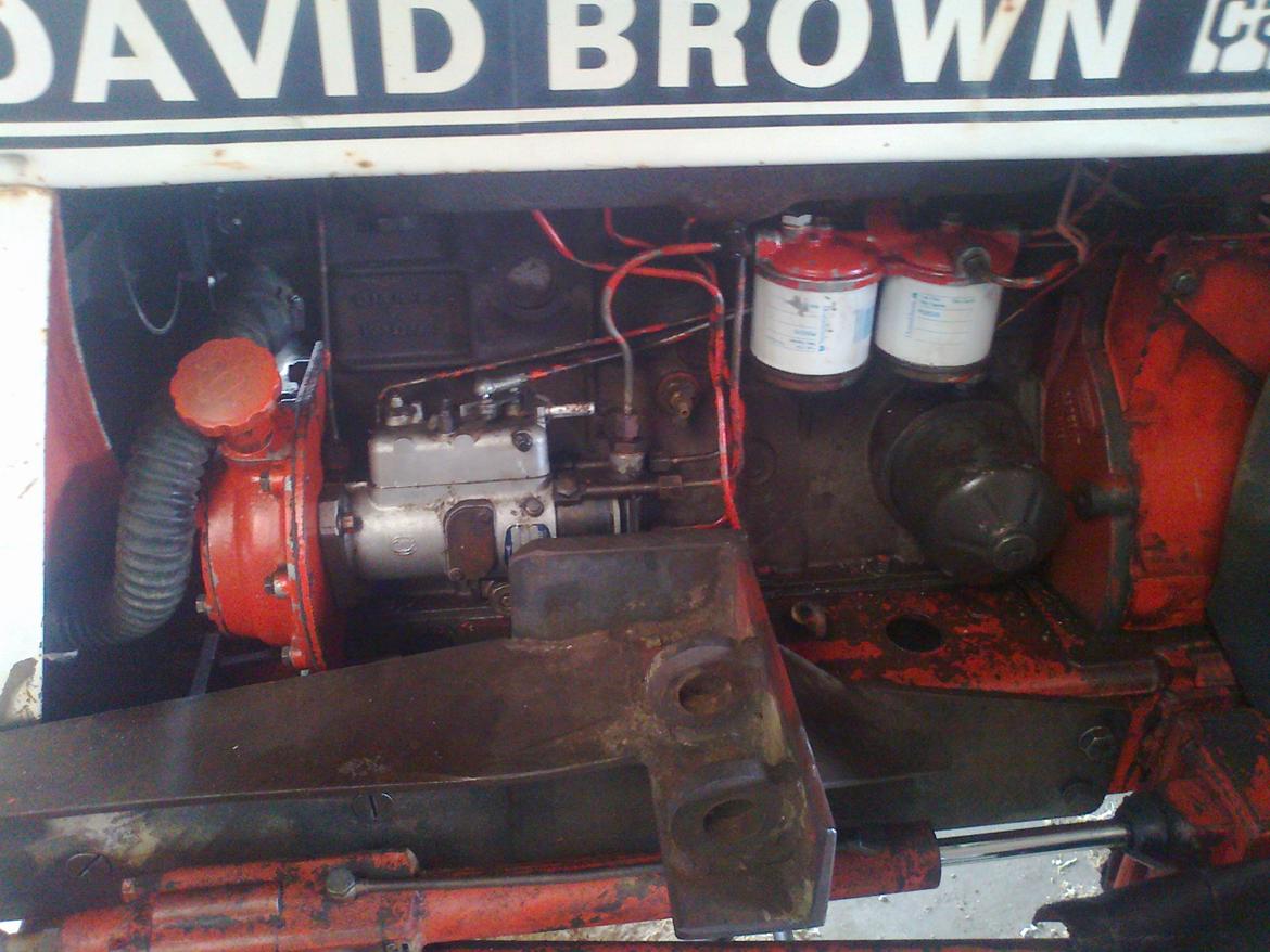 David Brown 996 billede 12