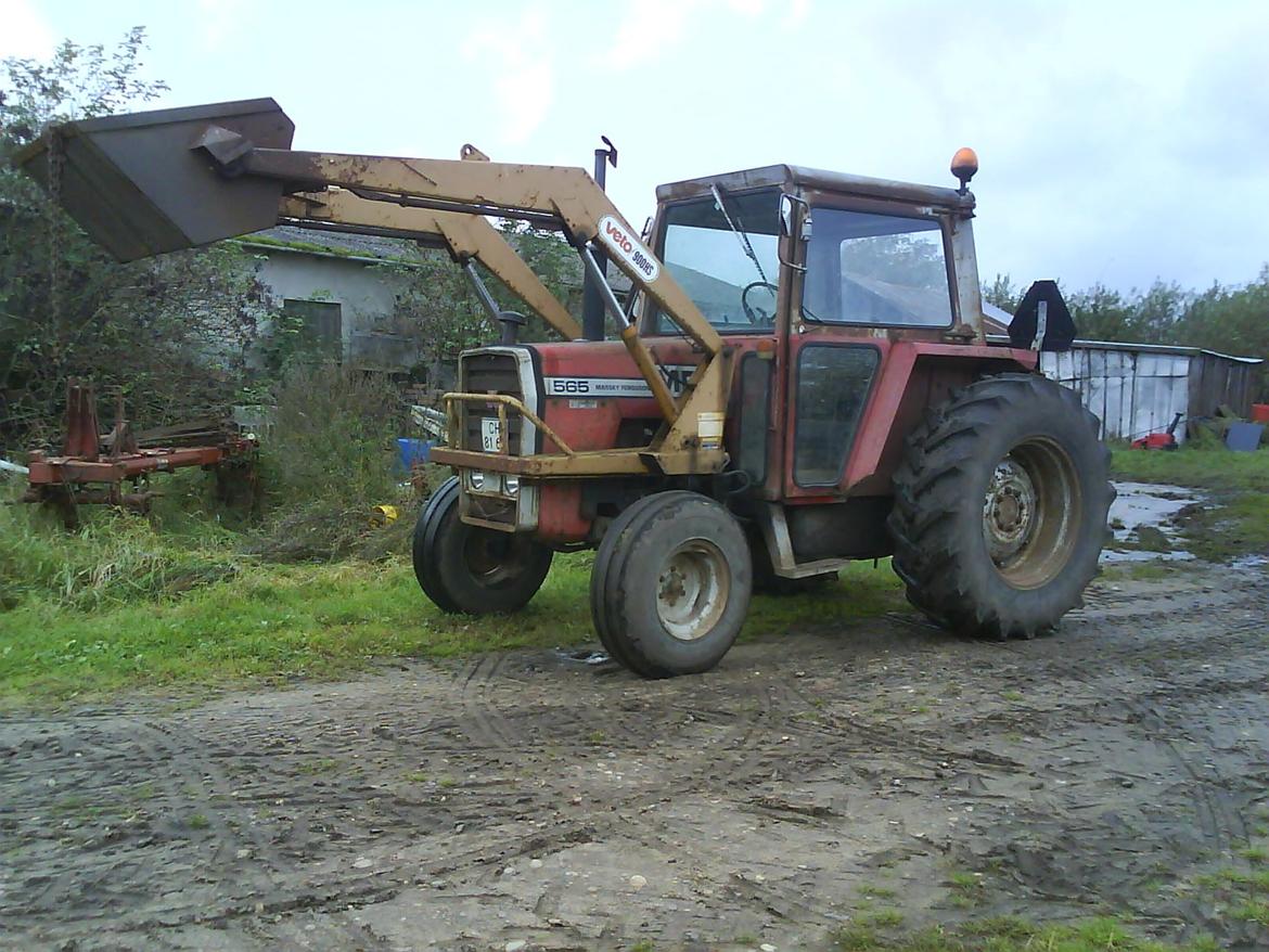 Massey Ferguson 565 - Massey Ferguson 565 billede 1