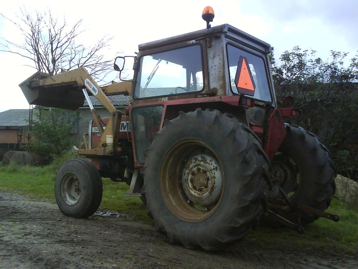 Massey Ferguson 565 billede 3