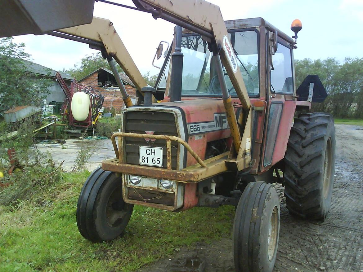 Massey Ferguson 565 billede 4