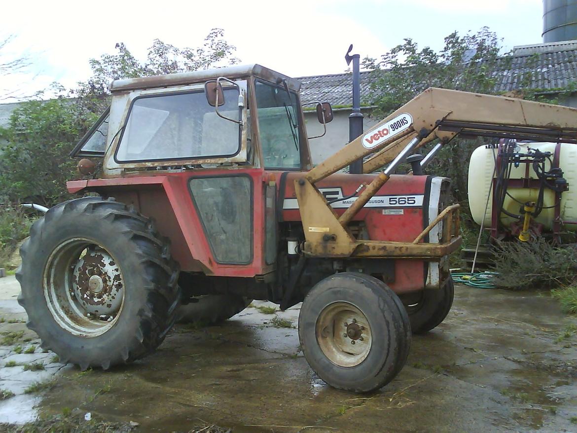 Massey Ferguson 565 billede 8