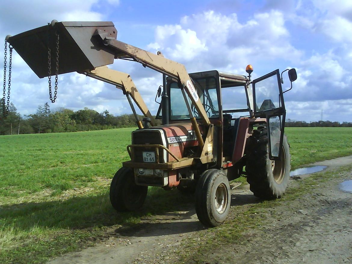 Massey Ferguson 565 billede 9