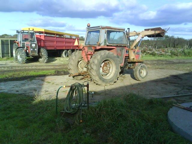 Massey Ferguson 565 - Massey Ferguson 565
&
Massey Ferguson 966 med gris vogn  billede 10