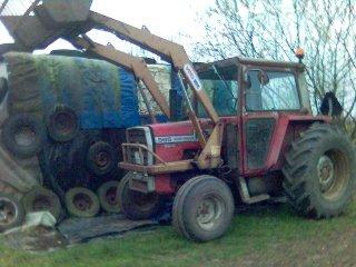 Massey Ferguson 565 billede 14