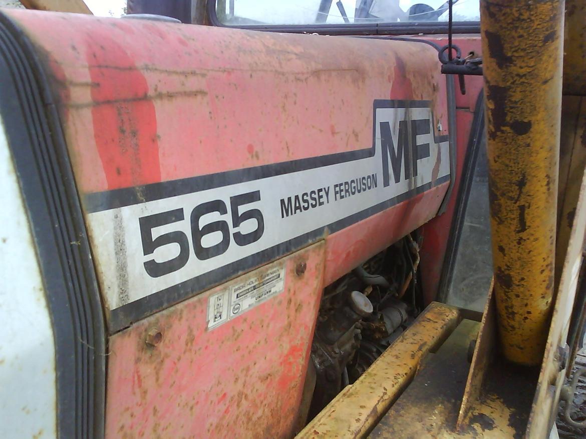 Massey Ferguson 565 billede 2