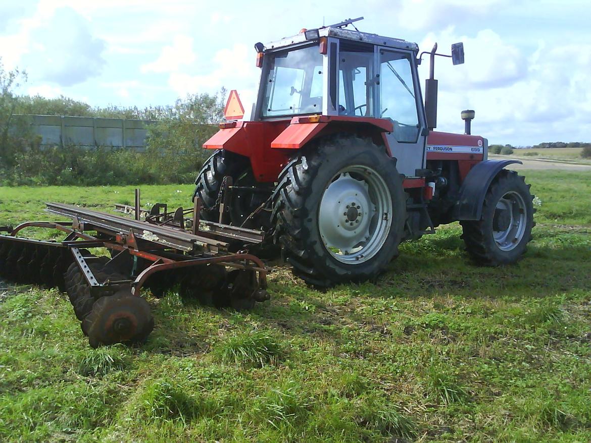 Massey Ferguson 699 - Mf699 med tallerkenharven.  billede 14